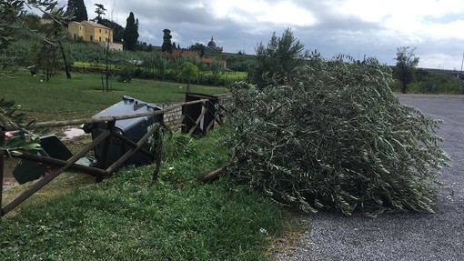 Quiliano, improvvisa tromba d'aria colpisce il parco di San Pietro in Carpignano (FOTO e VIDEO)