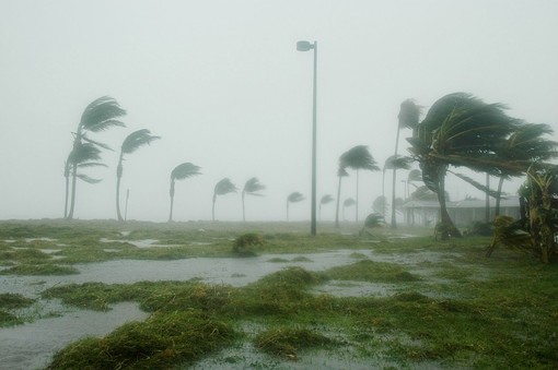 L'uragano Irma lascia Miami, la famiglia Piazza può fare ritorno ad Albenga L'uragano Irma lascia Miami, la famiglia Piazza può fare ritorno ad Albenga