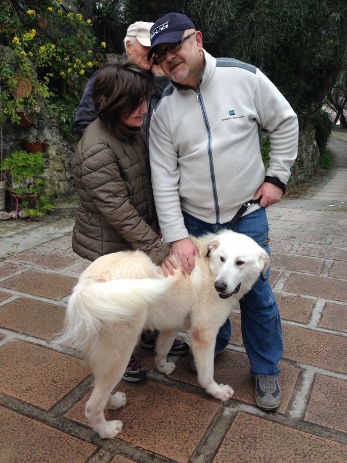 Dal terremoto dell'Abruzzo a Calice Ligure: Ulisse ha trovato casa Dal terremoto dell'Abruzzo a Calice Ligure: Ulisse ha trovato casa