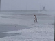 Loano, il video del bagnante che sfida l'allerta meteo