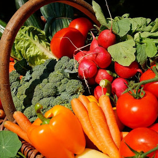 Coronavirus, Uila: via alla campagna di ascolto per i lavoratori agroalimentari