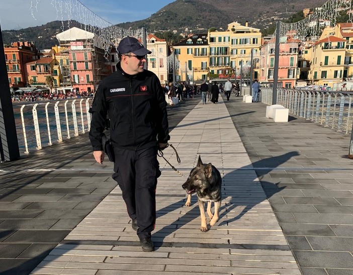 Compagnia dei carabinieri di Alassio: controllo del territorio durante le festività natalizie (FOTO) Compagnia dei carabinieri di Alassio: controllo del territorio durante le festività natalizie (FOTO)