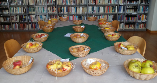 Cairo Montenotte: una mela al giorno in biblioteca