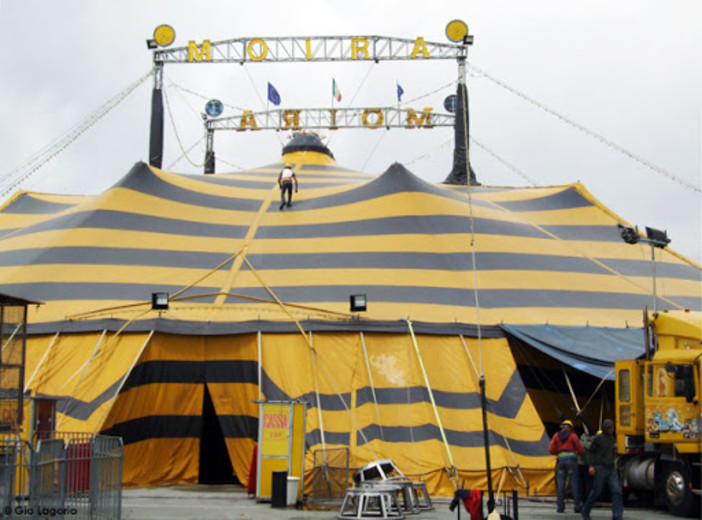 Savona, l'emergenza Coronavirus blocca il Circo Millennium: debutto rinviato al 13 marzo