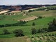 Al Collsioni Festival di Barolo l'Istituto Marchigiano di Tutela Vini Al Collsioni Festival di Barolo l'Istituto Marchigiano di Tutela Vini