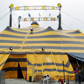 Savona, il Circo Millennium: "Grazie alla Caritas che si è mobilitata, ma il problema grande sono gli animali" Savona, il Circo Millennium: "Grazie alla Caritas che si è mobilitata, ma il problema grande sono gli animali"