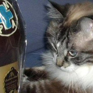 Uova di Pasqua solidali a Savona con l'Enpa