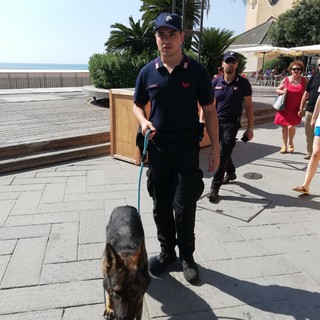Alassio, budello e stabilimenti balneari: in servizio il pattugliamento del nucleo Cinofili