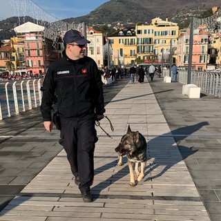 Compagnia dei carabinieri di Alassio: controllo del territorio durante le festività natalizie (FOTO)