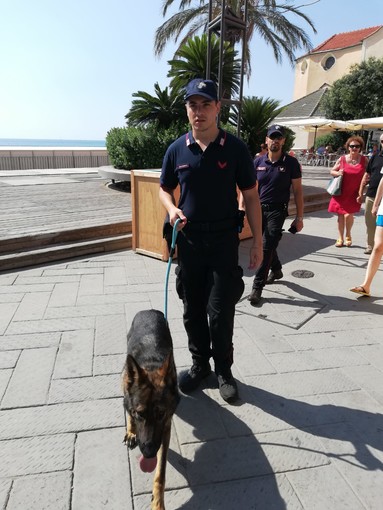 Alassio, budello e stabilimenti balneari: in servizio il pattugliamento del nucleo Cinofili