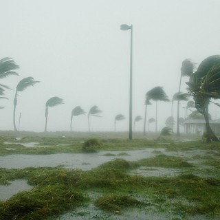 L'uragano Irma lascia Miami, la famiglia Piazza può fare ritorno ad Albenga