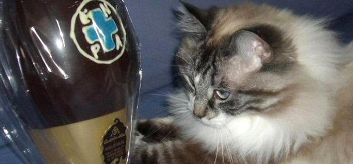 Uova di Pasqua solidali a Savona con l'Enpa