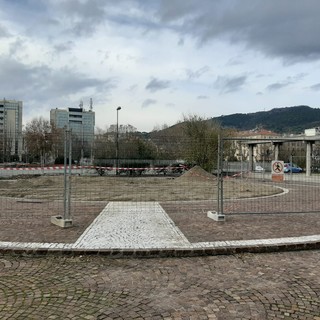 Savona, un grande ulivo nell'ex anfiteatro: il restyling vicino al Tribunale per combattere il degrado