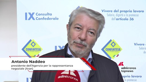 Lavoro, Naddeo (Aran): "A Confintesa interessante dibattito su salario giusto" Lavoro, Naddeo (Aran): "A Confintesa interessante dibattito su salario giusto"