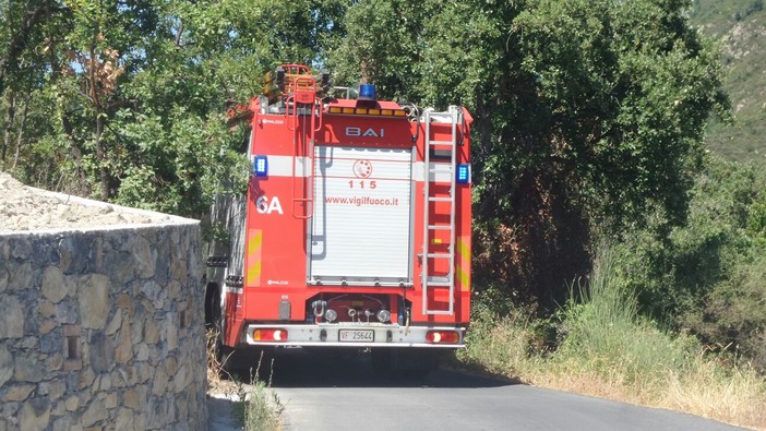 Vendone: incendio boschivo intervento dei vigili del fuoco