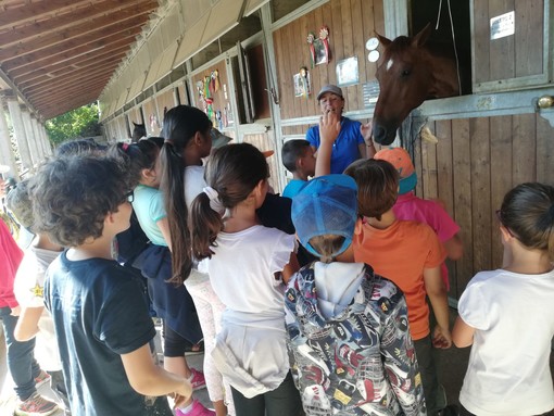 Welfare territoriale, concluso il centro estivo in Val Bormida: sold out nelle quattro settimane, con 140 i ragazzi partecipanti