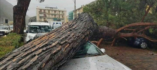 Nottata senza tregua per i vigili del fuoco in tutto il Savonese