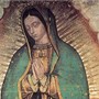 Festa liturgica della Madonna di Guadalupe, grande devozione a Pietra Ligure