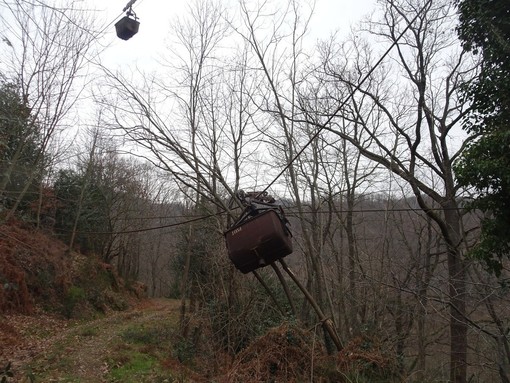 Foto scattata da Fulvio Michelotti