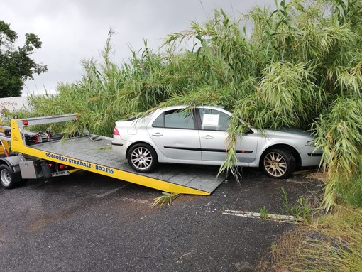Albenga, polizia locale rimuove veicoli abbandonati (FOTO) Albenga, polizia locale rimuove veicoli abbandonati (FOTO)