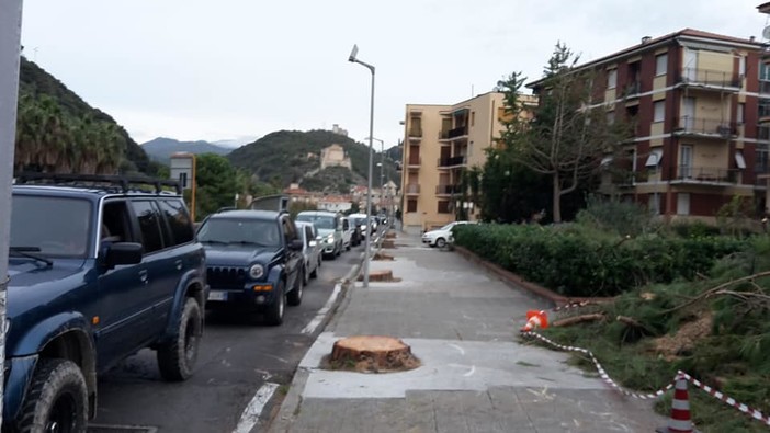 Il serpentone di auto in via Dante questa mattina, 29 ottobre