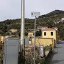 Alassio, tornata la luce in via Adelasia: a causare il guasto il ramo di un grande albero