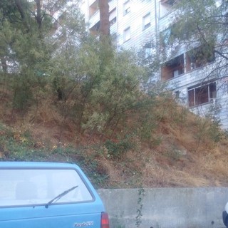 Via Quintana ripulita (scarpata)