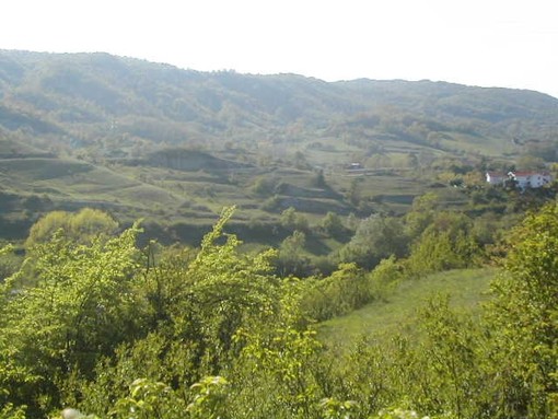 Al via la prima manifestazione del Comitato promotore Valle dell’Erro "Lo sport per tutti" Al via la prima manifestazione del Comitato promotore Valle dell’Erro "Lo sport per tutti"