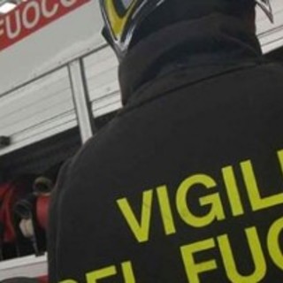 Caldo e sciami di api nell'albenganese: numerosi interventi dei vigili del fuoco
