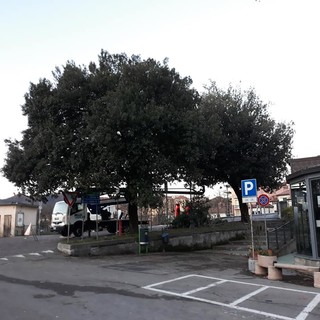 Carcare, messa in sicurezza e potatura del verde nelle aree pubbliche (FOTO)