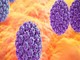 Vaccino anti-Papilloma Virus: EMA, l’Agenzia Europea Medicinali accusata di manipolazione dei dati Vaccino anti-Papilloma Virus: EMA, l’Agenzia Europea Medicinali accusata di manipolazione dei dati