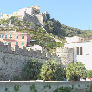 Finale, costruzione di case nella zona di Castelfranco, Verdi all'attacco: "Ulteriore cementificazione, in una zona delicata" Finale, costruzione di case nella zona di Castelfranco, Verdi all'attacco: "Ulteriore cementificazione, in una zona delicata"
