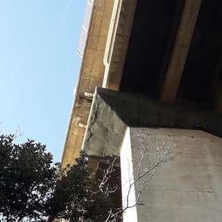 Calcinacci dal viadotto Teiro su via Scavino, il comitato: "Sfiorata l’ennesima strage di passanti a Varazze" Calcinacci dal viadotto Teiro su via Scavino, il comitato: "Sfiorata l’ennesima strage di passanti a Varazze"