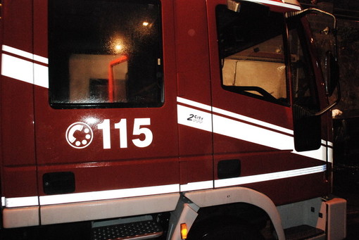 Albero caduto sulla Strada Provinciale 2 tra Albissola e Stella, intervento dei vigili del fuoco