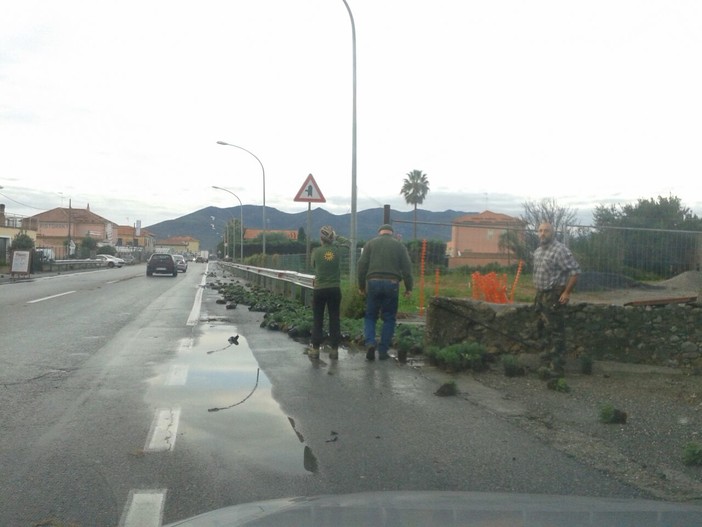 Danni all'agricoltura in Liguria. Toti: "Quei 16 milioni il Governo non li ha stanziati"