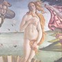 Venere vs Primavera, ora le due icone di Botticelli si guardano negli occhi Venere vs Primavera, ora le due icone di Botticelli si guardano negli occhi