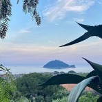 Isola Gallinara, Villa Diana sarà restaurata entro un anno: svolto il sopralluogo delle istituzioni