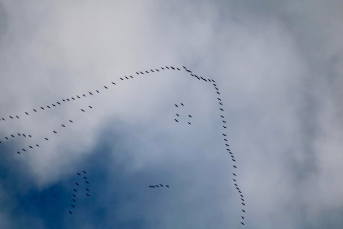 Foto Rossella Bozzano Foto Rossella Bozzano