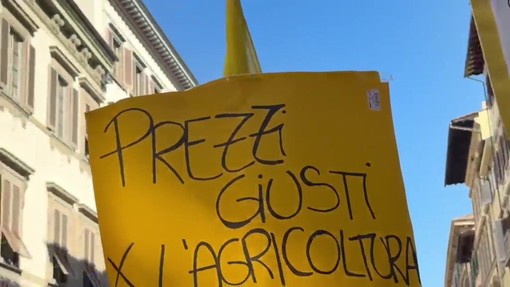 Caro carburanti, agricoltori in piazza a Firenze: "Non ci muoveremo da qui" Caro carburanti, agricoltori in piazza a Firenze: "Non ci muoveremo da qui"