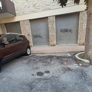 Via Nazario Sauro ad Albenga, il consigliere Lugani: "Parcheggi spesso inutilizzabili e rischi per i pedoni" Via Nazario Sauro ad Albenga, il consigliere Lugani: "Parcheggi spesso inutilizzabili e rischi per i pedoni"