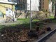 Savona, la segnalazione di un cittadino: "C'è bisogno di pulizia" Savona, la segnalazione di un cittadino: "C'è bisogno di pulizia"