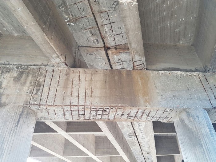 Foto courtesy "Claudio Arena" Foto courtesy "Claudio Arena"