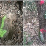 “Vandali del territorio” ancora in azione nel Finalese. Vernice fluorescente e segnaletica “fai da te” sui sentieri della Caprazoppa
