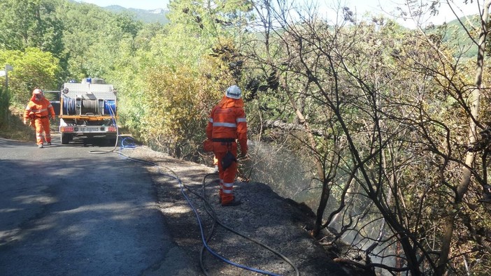 I Verdi ringraziano Lucia Moscato, Sindaco di Testico, che elogia pubblicamente i Volontari AIB