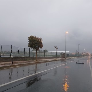 Distilo: "Viale Che Guevara ad Albenga, ennesima fumata bianca"