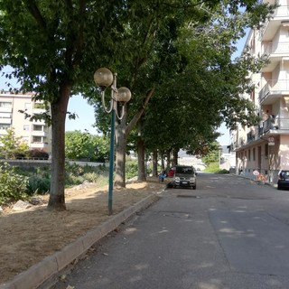 "No alla trasformazione di via Abba a Carcare": il Comitato raccoglie firme in piazza Caravadossi