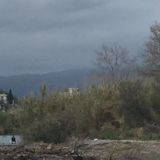 Albenga, pulizia e rimozione rifiuti nel Parco Foce e nel fiume Centa: il sindaco ha firmato le ordinanze