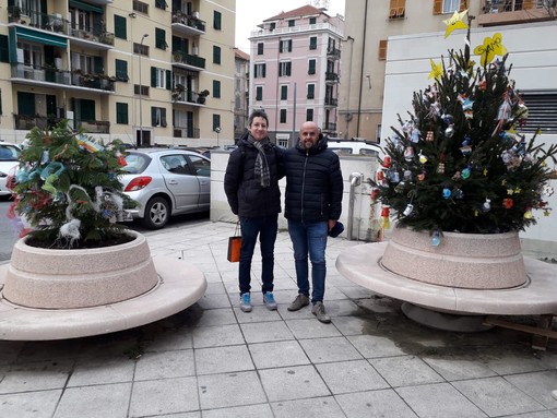 Arrivano due nuovi alberi di Natale nelle fioriere di piazza Bologna a Savona