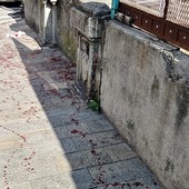 Accoltellamento di Villapiana, il Gip conferma il carcere per l'aggressore 25enne Accoltellamento di Villapiana, il Gip conferma il carcere per l'aggressore 25enne