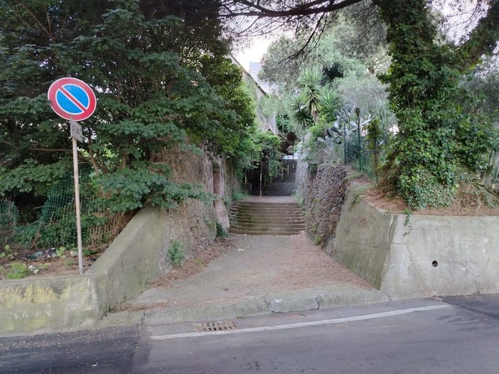 26enne accoltellata in via Bresciana, il testimone-soccorritore: "Urlava chiedendo aiuto. Abbiamo tamponato la ferita aspettando i soccorsi" 26enne accoltellata in via Bresciana, il testimone-soccorritore: "Urlava chiedendo aiuto. Abbiamo tamponato la ferita aspettando i soccorsi"